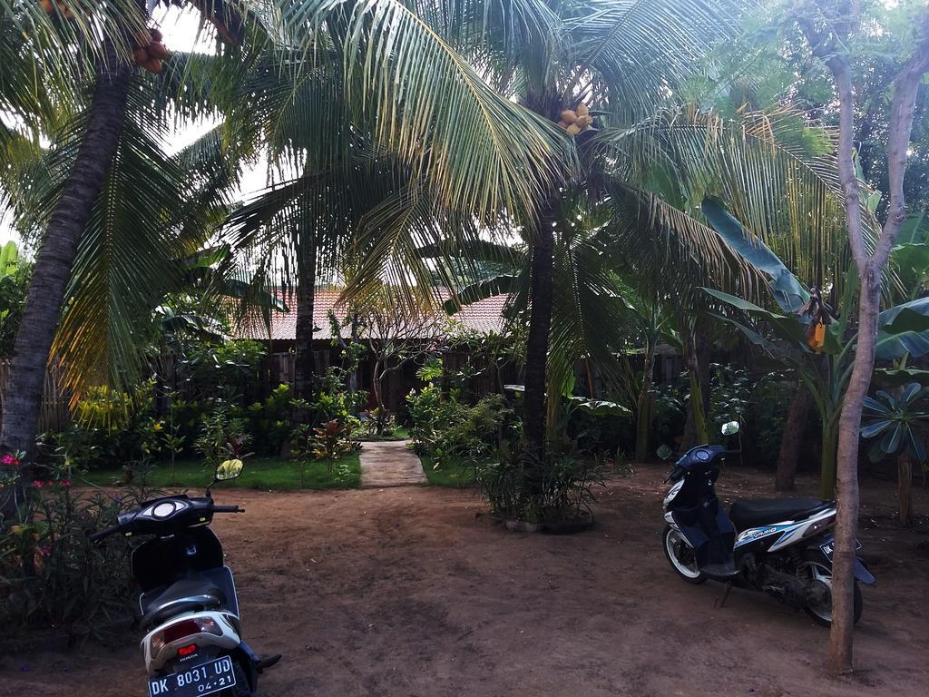 Molleh Guest House ペムテラン エクステリア 写真